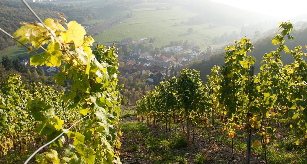 Weingut Hees - Landgasthof Zum Jaeger Aus Kurpfalz Auen エクステリア 写真