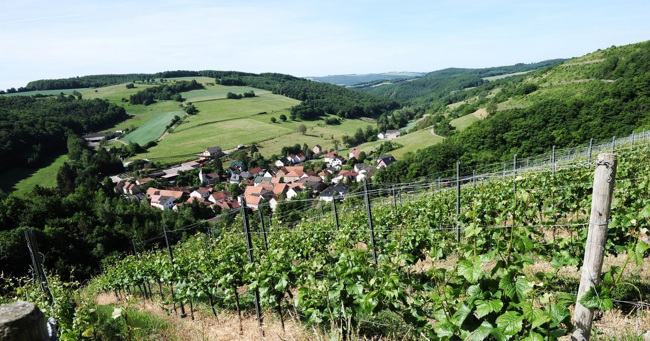 Weingut Hees - Landgasthof Zum Jaeger Aus Kurpfalz Auen エクステリア 写真