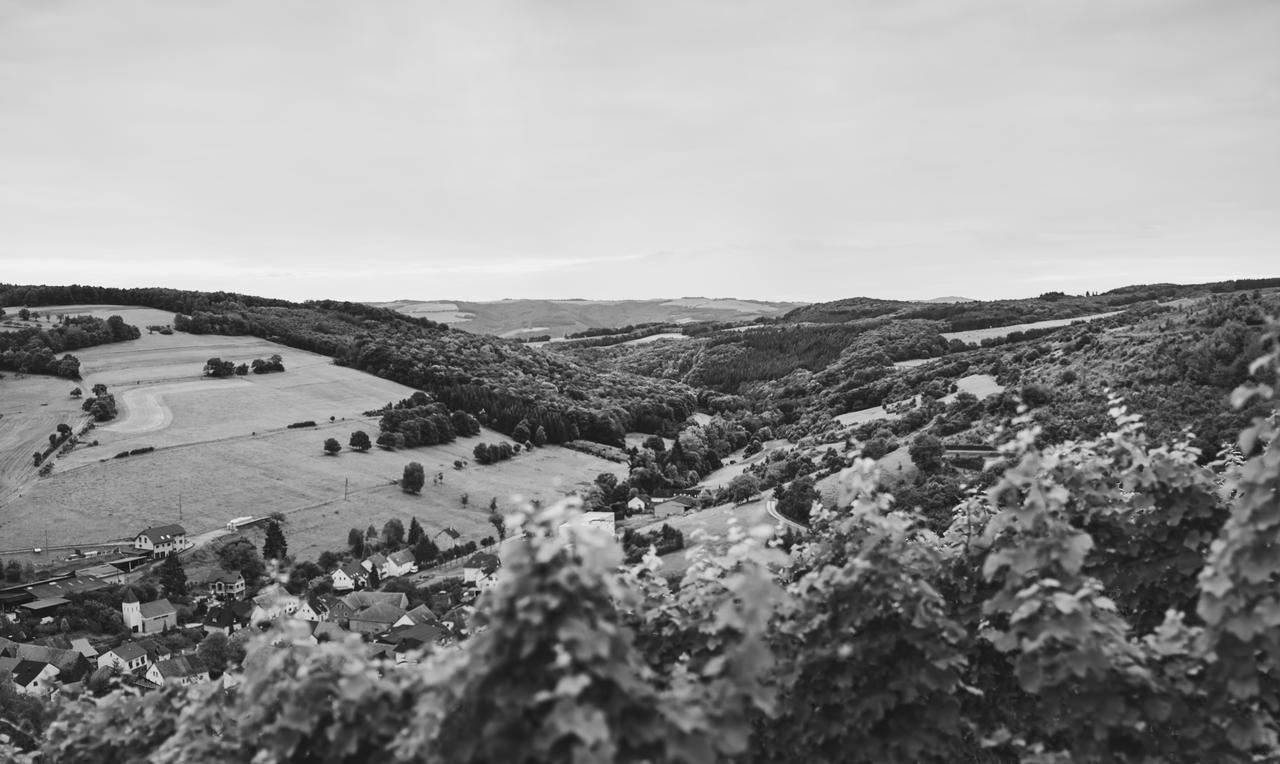 Weingut Hees - Landgasthof Zum Jaeger Aus Kurpfalz Auen エクステリア 写真