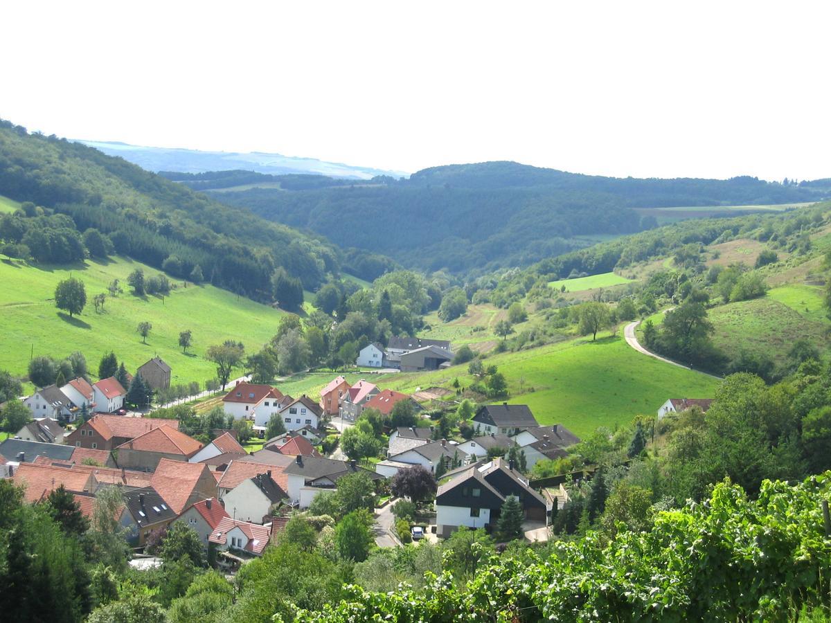 Weingut Hees - Landgasthof Zum Jaeger Aus Kurpfalz Auen エクステリア 写真